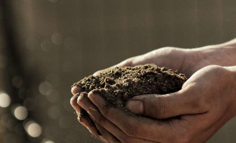Compost: 7 aspectos que deberías conocer sobre el compostaje